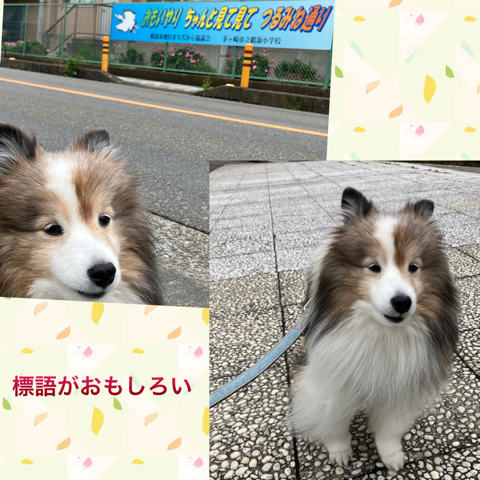 IMG_7286.jpeg