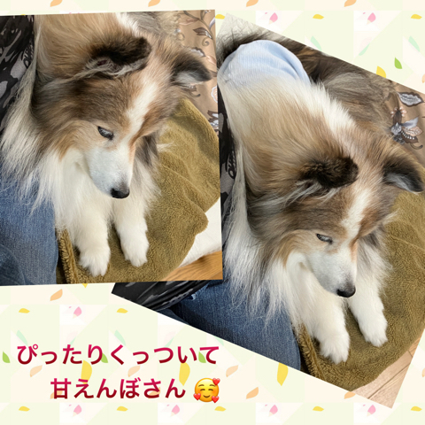 IMG_7290.jpeg