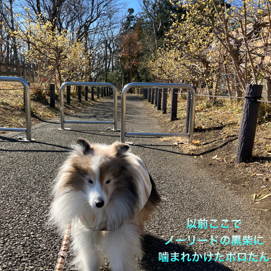 IMG_7305.jpeg