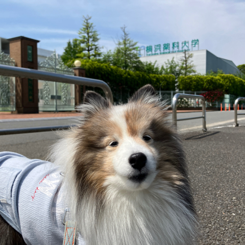 IMG_7340.jpeg