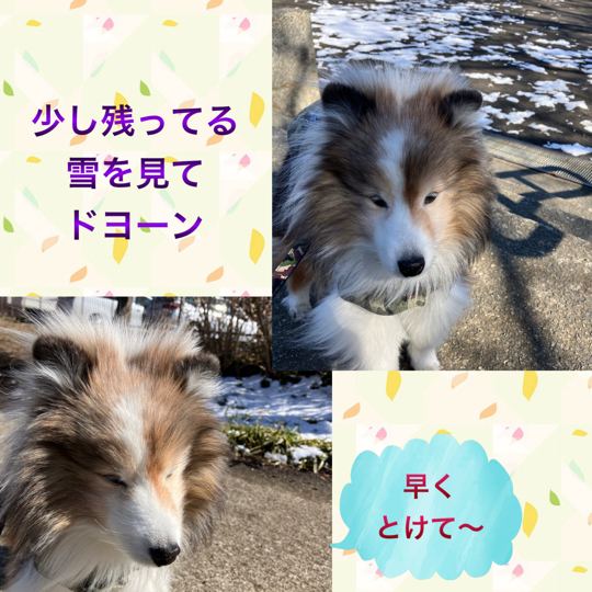 IMG_7483.jpeg
