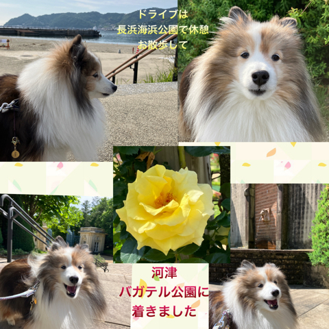 IMG_7724.jpeg
