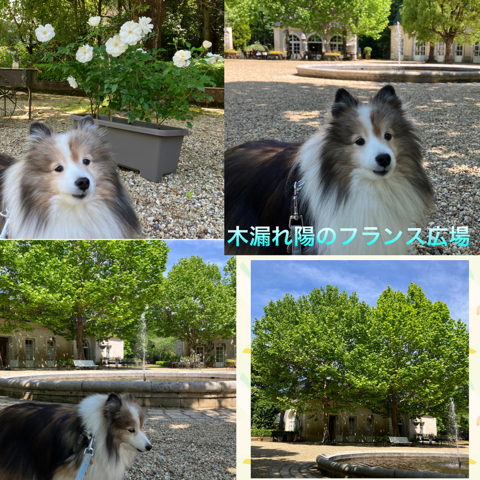 IMG_7726.jpeg