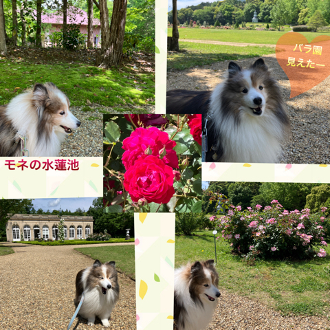 IMG_7727.jpeg