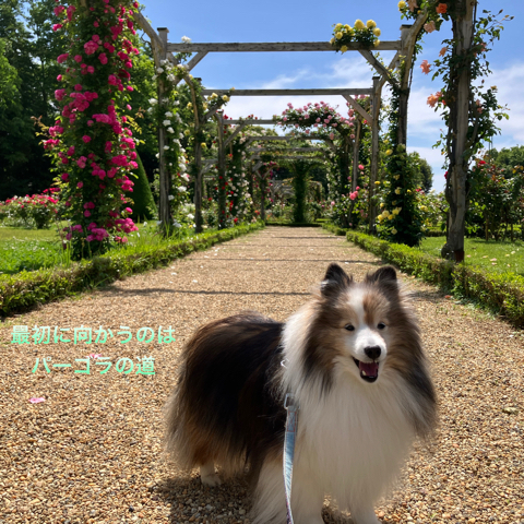 IMG_7728.jpeg