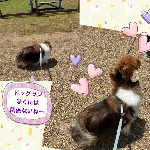 IMG_7941.jpeg