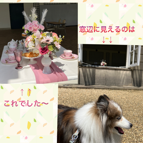 IMG_7943.jpeg