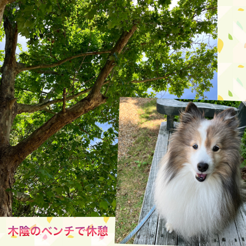 IMG_7947.jpeg