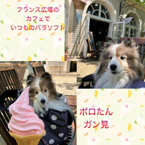 IMG_7949.jpeg