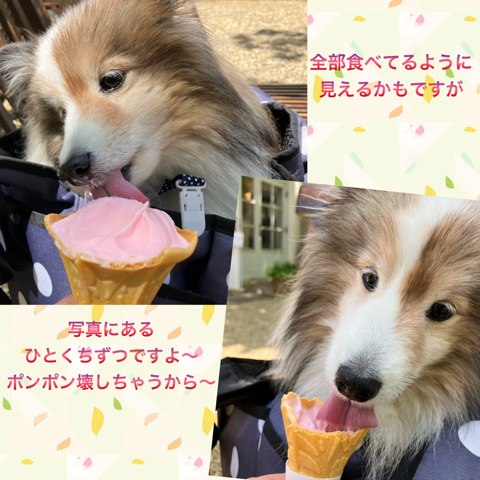 IMG_7954.jpeg