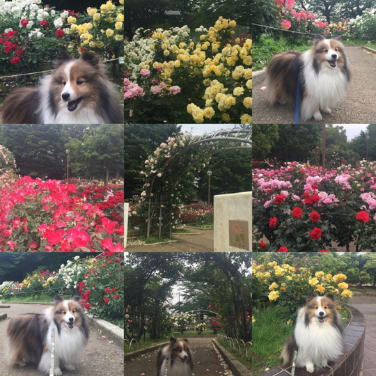 IMG_8305.jpeg