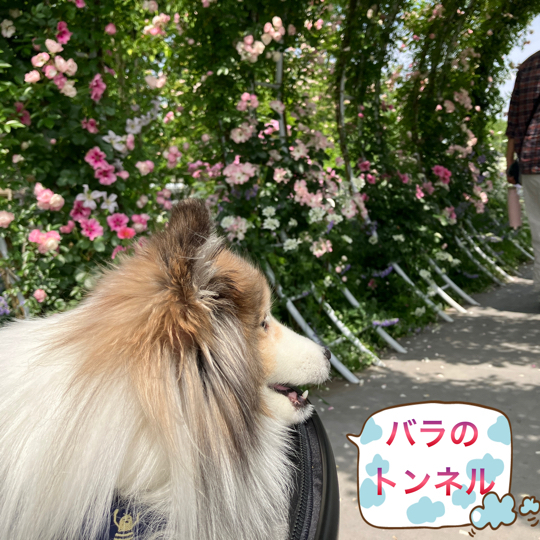 IMG_8311.jpeg