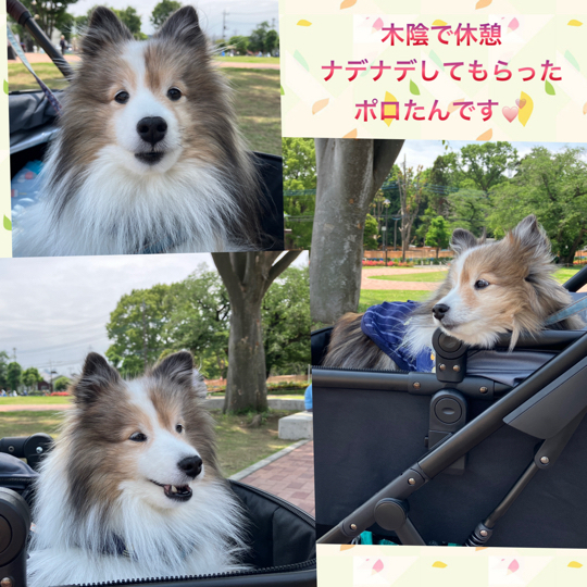 IMG_8451.jpeg