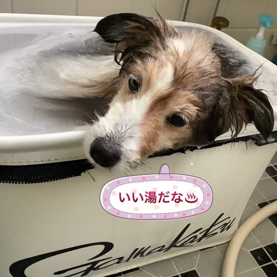IMG_8497.jpeg