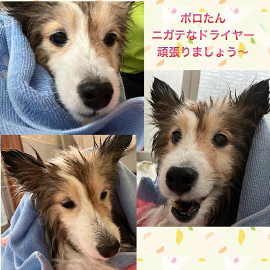 IMG_8501.jpeg