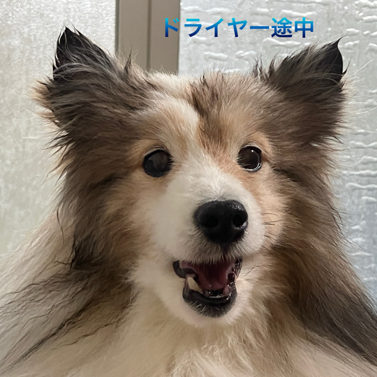 IMG_8502.jpeg