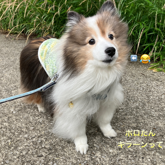 IMG_8667.jpeg