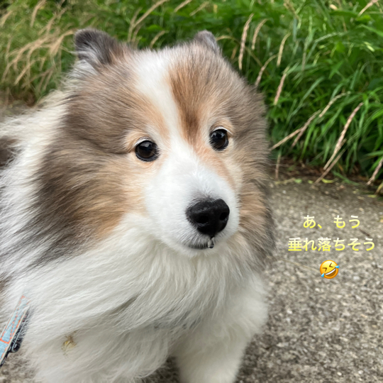 IMG_8668.jpeg
