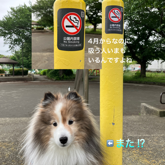IMG_8670.jpeg