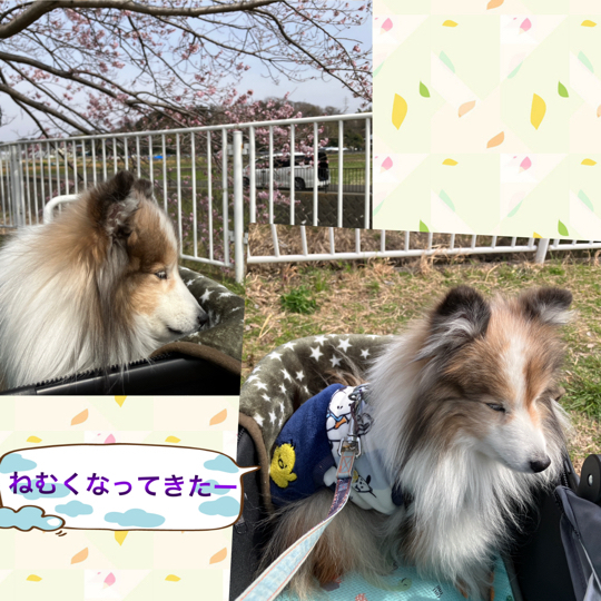 IMG_8678.jpeg