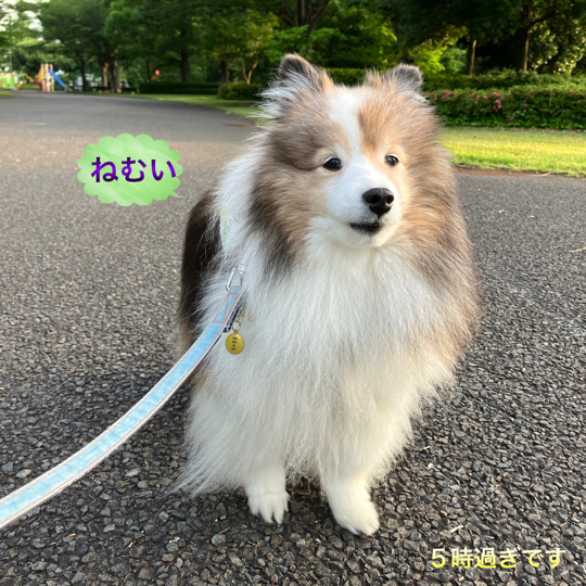 IMG_8709.jpeg