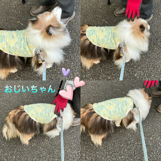 IMG_8712.jpeg