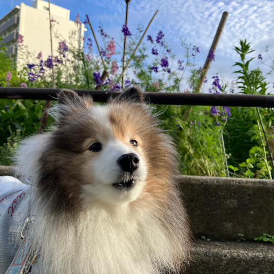 IMG_8749.jpeg
