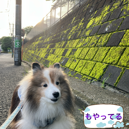 IMG_8752.png