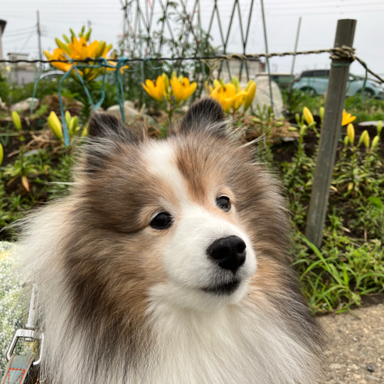 IMG_8774.jpeg
