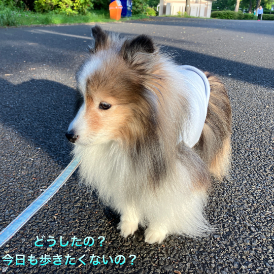IMG_8810.jpeg