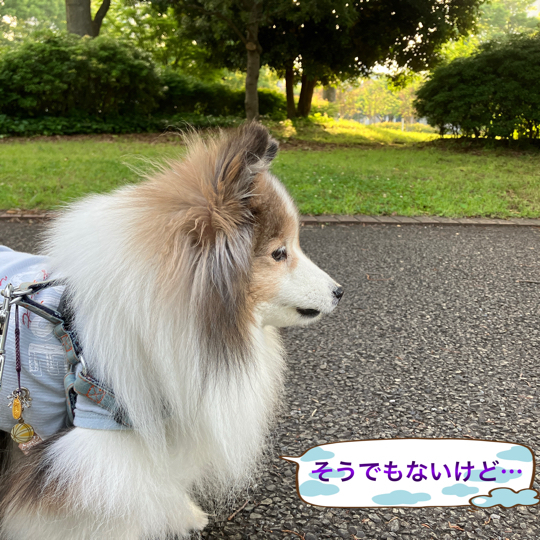 IMG_8811.jpeg