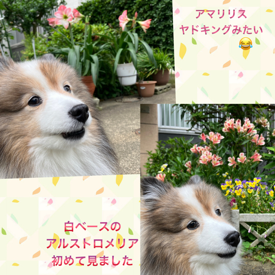 IMG_8840.jpeg