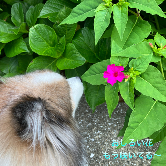 IMG_8843.jpeg