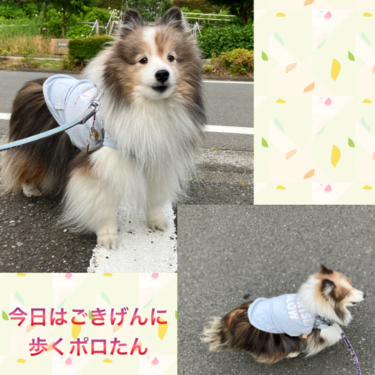 IMG_8844.jpeg