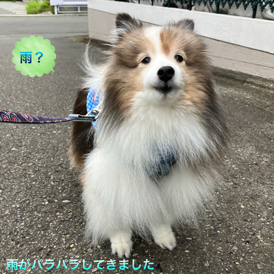 IMG_8861.jpeg