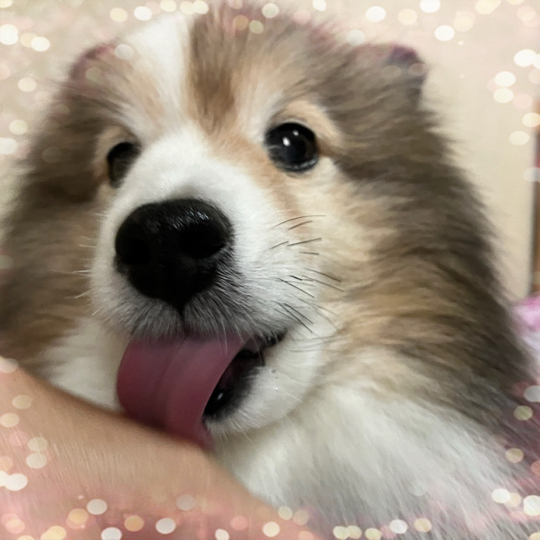IMG_8882.jpeg