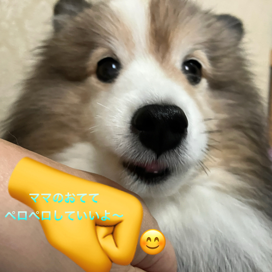 IMG_8883.jpeg