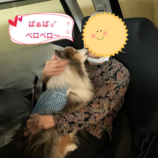 IMG_8928.png