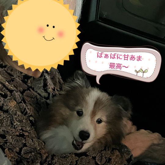 IMG_8932.jpeg