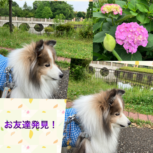 IMG_8953.jpeg