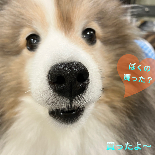 IMG_9059.jpeg