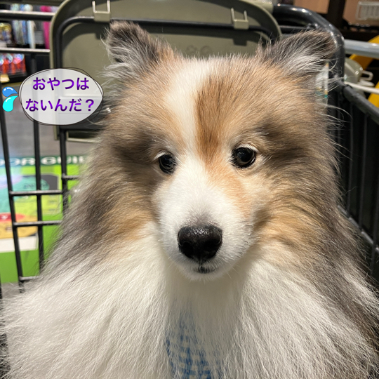 IMG_9060.jpeg