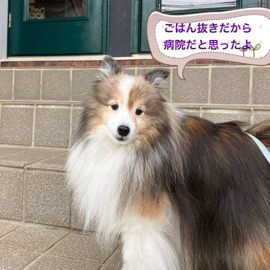 IMG_9113.jpeg
