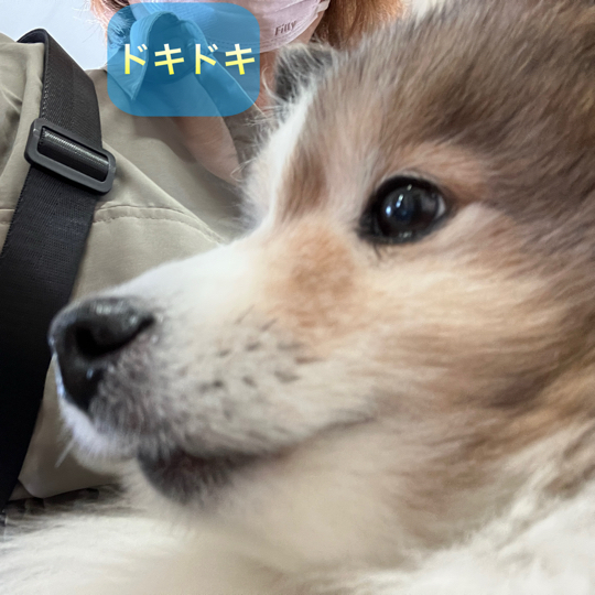 IMG_9114.jpeg