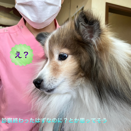 IMG_9116.jpeg