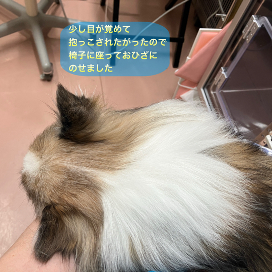 IMG_9183.jpeg