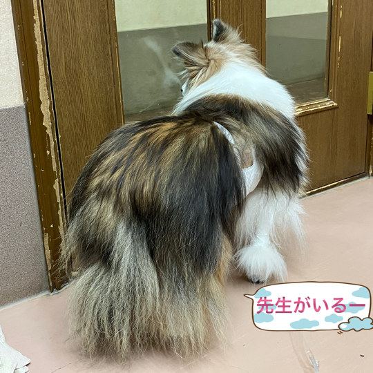 IMG_9190.jpeg