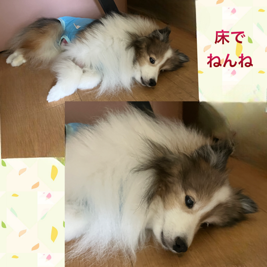 IMG_9246.png