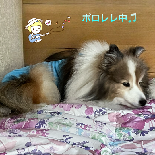IMG_9247.png