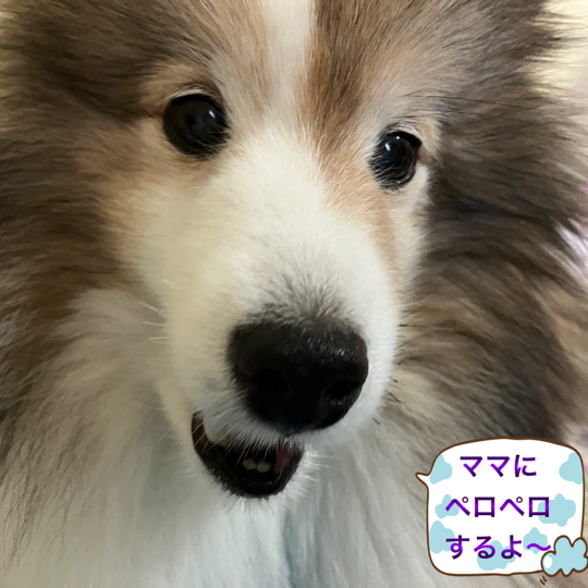 IMG_9287.jpeg